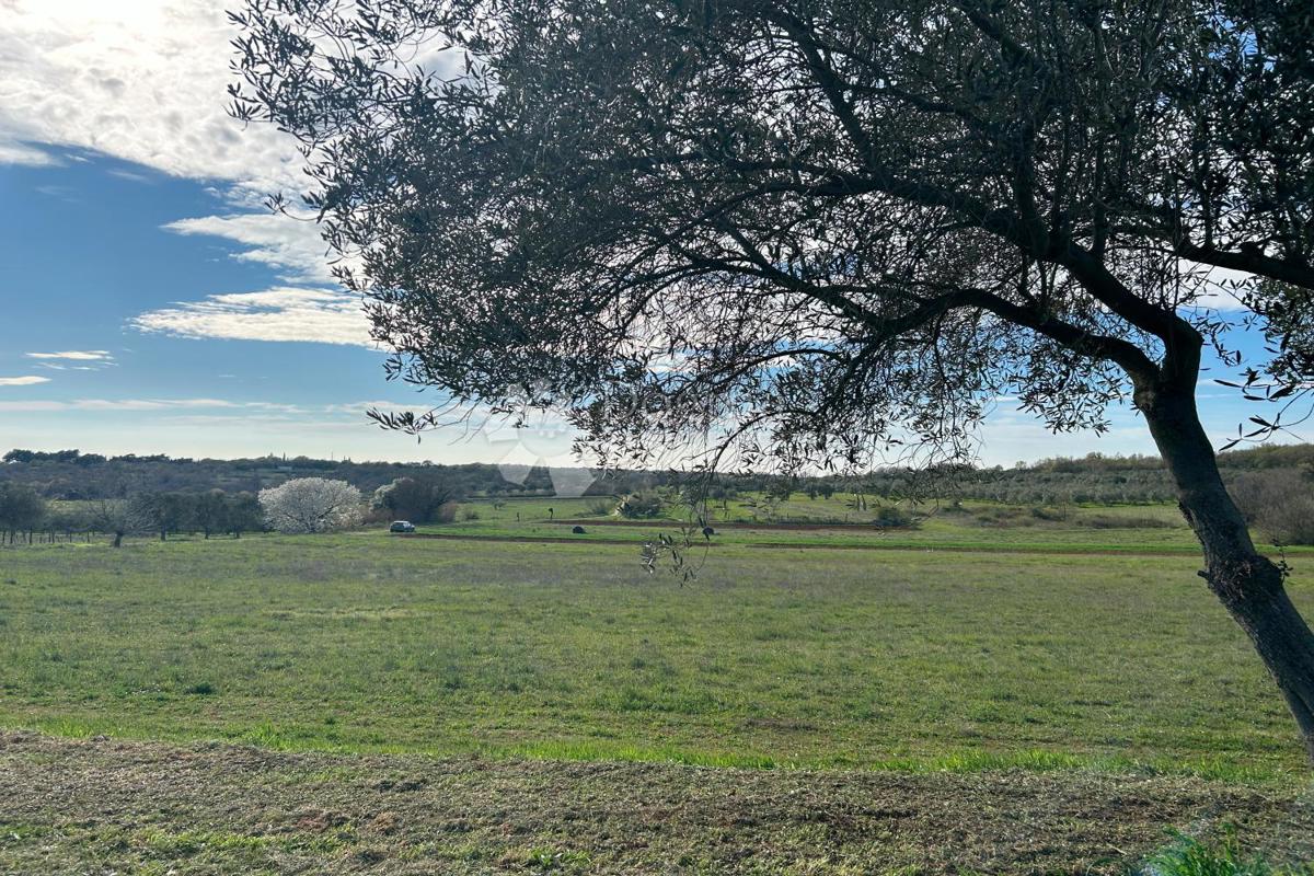 Terreno Mrgani, Kanfanar, 2.593m2