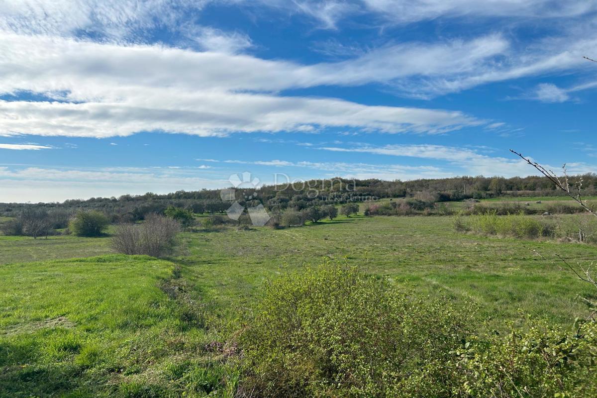 Terreno Mrgani, Kanfanar, 2.593m2