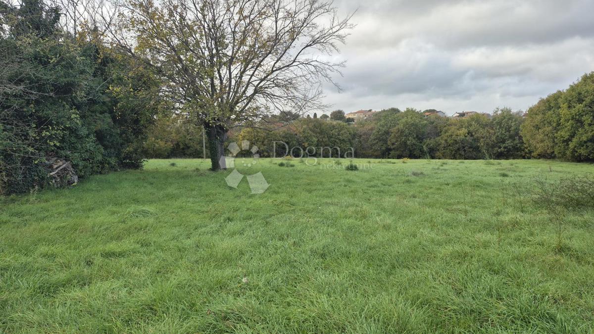 Superficie edificabile 574 m2 + area agricola 10325 m2 a Valtura