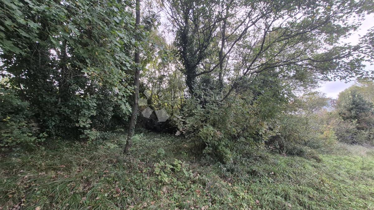 Superficie edificabile 574 m2 + area agricola 10325 m2 a Valtura