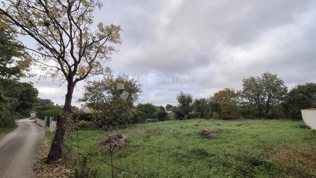 Superficie edificabile 574 m2 + area agricola 10325 m2 a Valtura