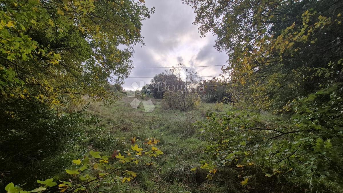 Superficie edificabile 574 m2 + area agricola 10325 m2 a Valtura