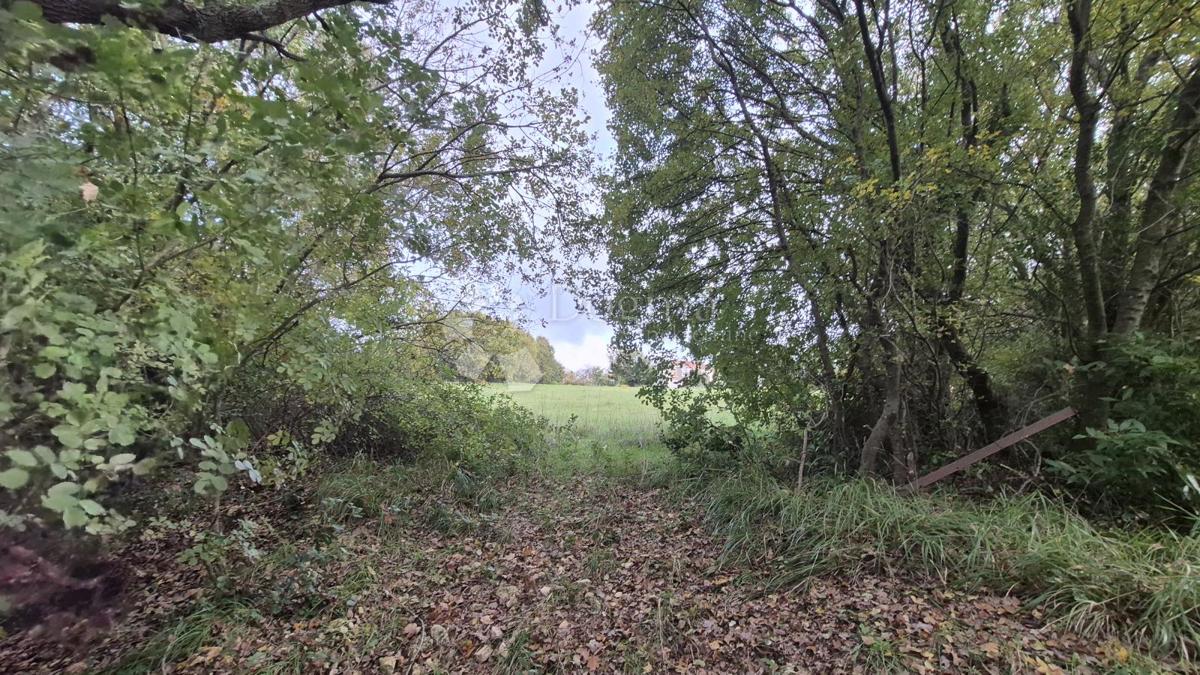 Superficie edificabile 574 m2 + area agricola 10325 m2 a Valtura