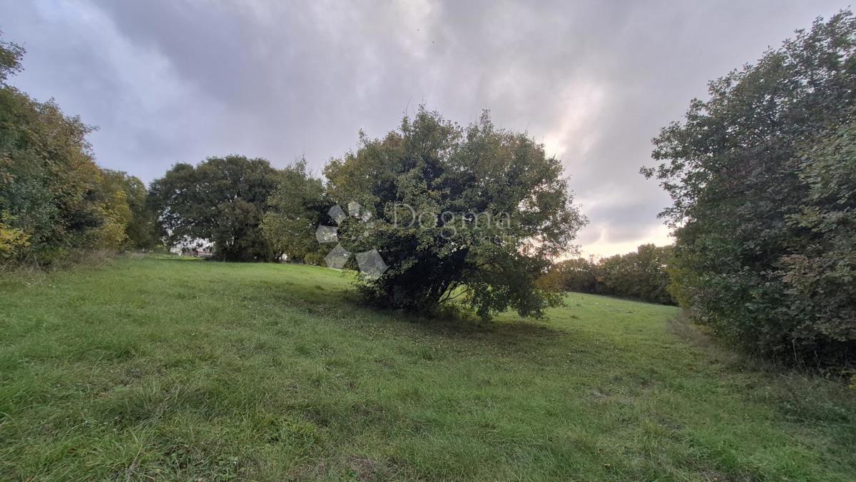 Superficie edificabile 574 m2 + area agricola 10325 m2 a Valtura