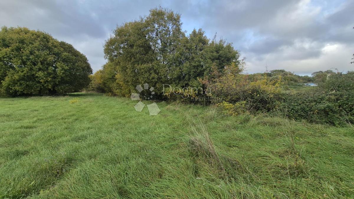 Superficie edificabile 574 m2 + area agricola 10325 m2 a Valtura