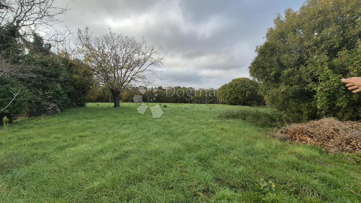 Superficie edificabile 574 m2 + area agricola 10325 m2 a Valtura