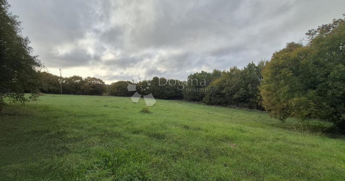 Superficie edificabile 574 m2 + area agricola 10325 m2 a Valtura