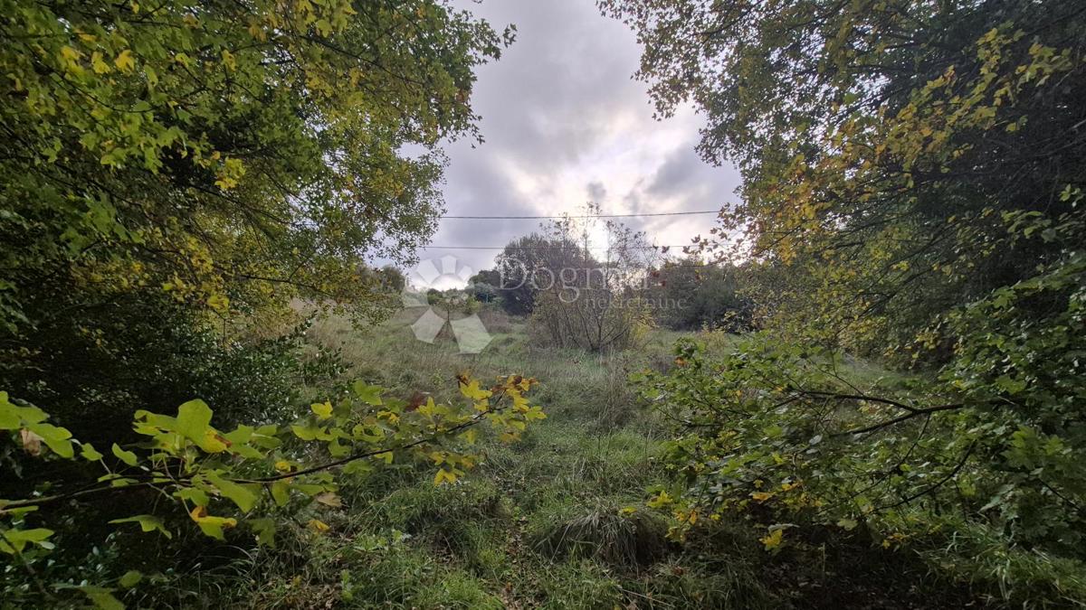 Superficie edificabile 574 m2 + area agricola 10325 m2 a Valtura