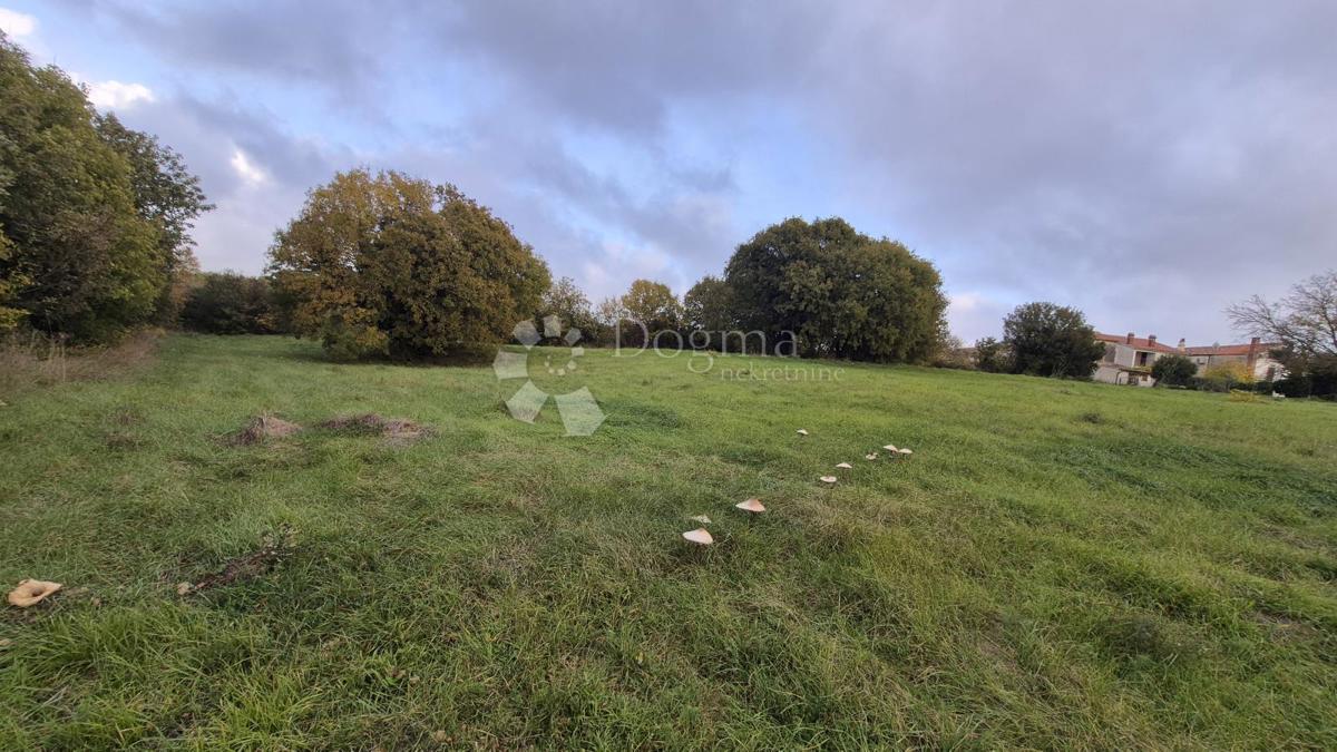 Superficie edificabile 574 m2 + area agricola 10325 m2 a Valtura