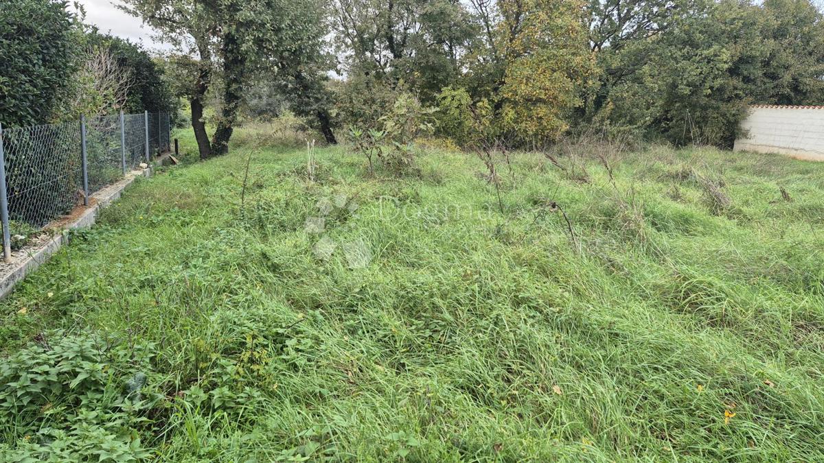 Superficie edificabile 574 m2 + area agricola 10325 m2 a Valtura