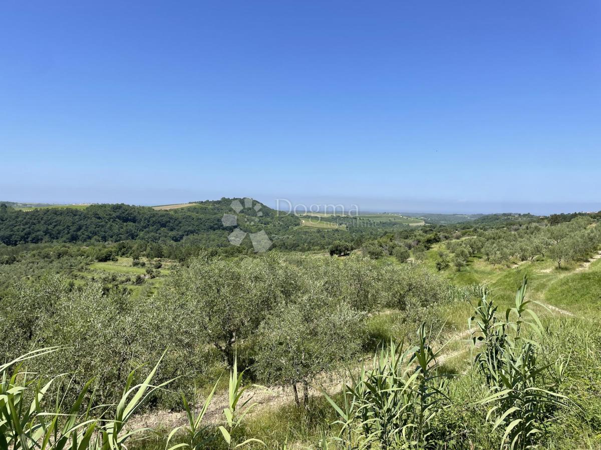 TERRENO CON PERMESSO DI COSTRUZIONE PER VILLA CON PISCINA