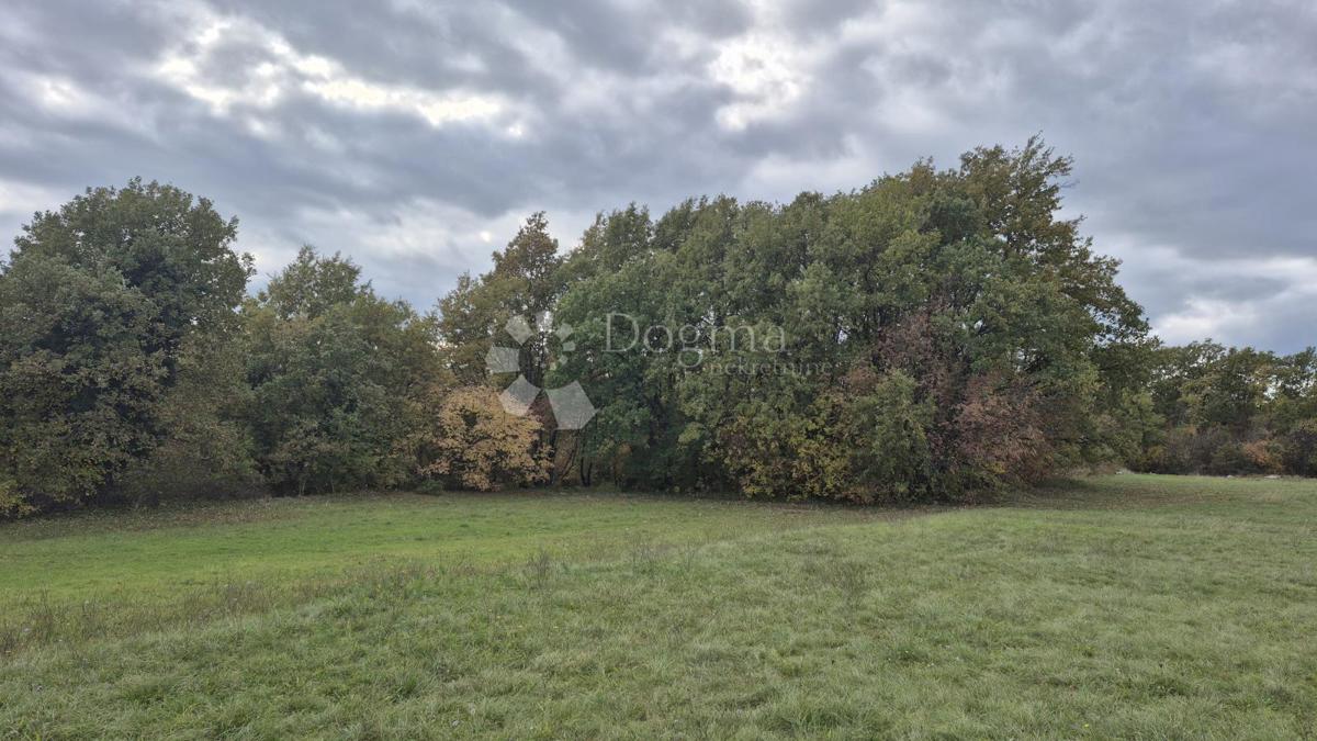 Terreno agricolo Pusti, Svetvinčenat, 8.182m2