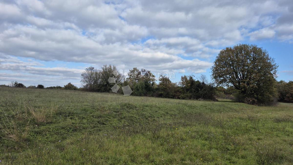 Terreno agricolo Pusti, Svetvinčenat, 8.182m2