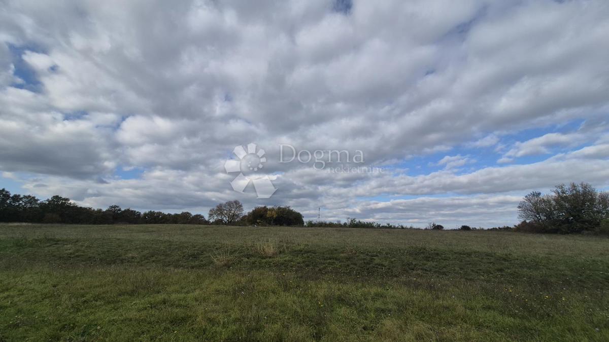 Terreno agricolo Pusti, Svetvinčenat, 8.182m2