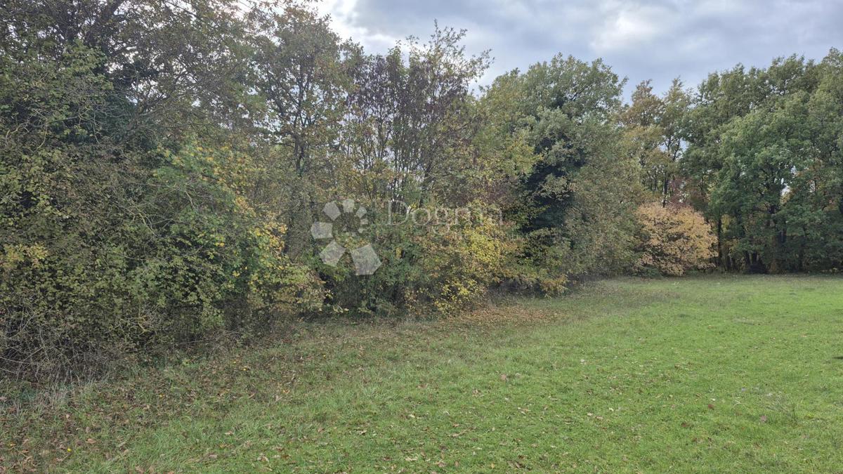 Terreno agricolo Pusti, Svetvinčenat, 8.182m2