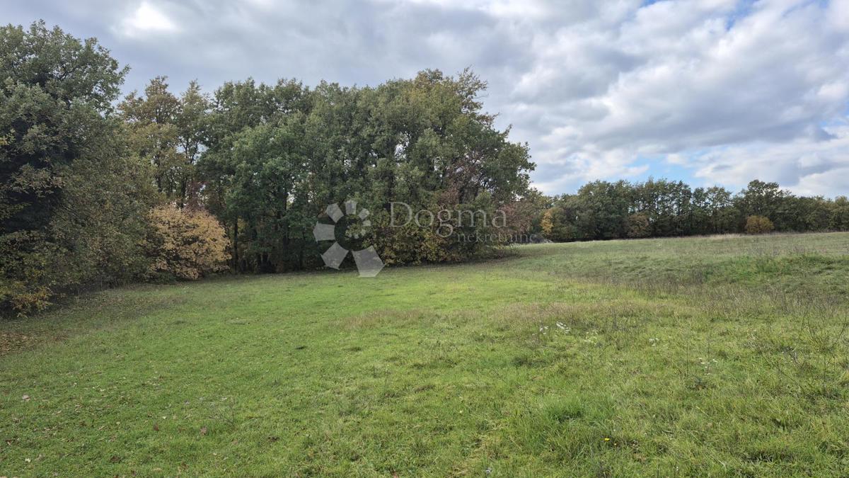 Terreno agricolo Pusti, Svetvinčenat, 8.182m2