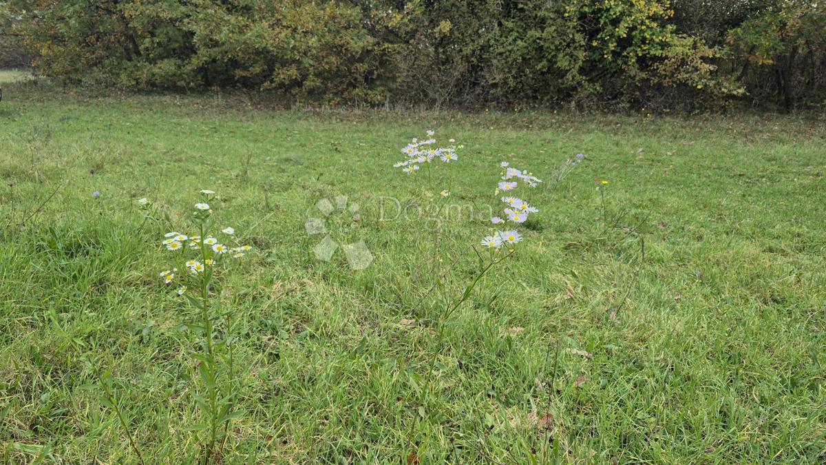 Terreno agricolo Pusti, Svetvinčenat, 8.182m2