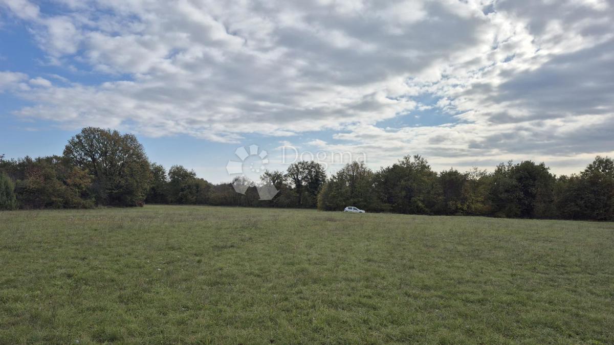 Terreno agricolo Pusti, Svetvinčenat, 8.182m2