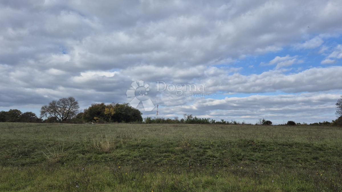 Terreno agricolo Pusti, Svetvinčenat, 8.182m2