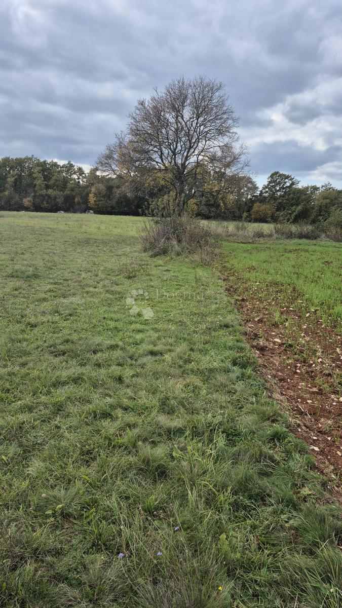 Terreno agricolo Pusti, Svetvinčenat, 8.182m2