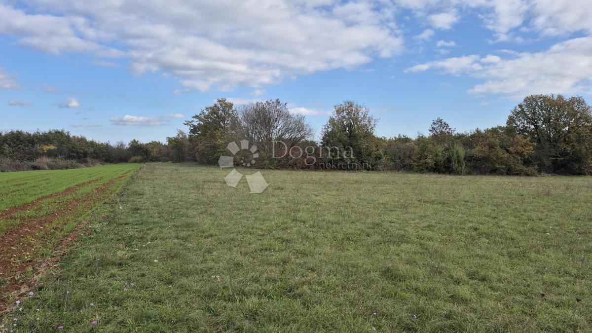 Terreno agricolo Pusti, Svetvinčenat, 8.182m2