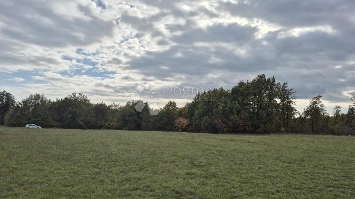 Terreno agricolo Pusti, Svetvinčenat, 8.182m2