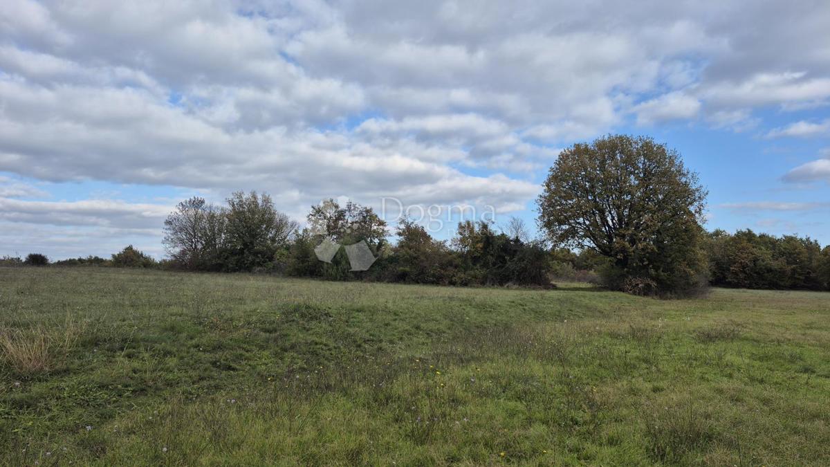 Terreno agricolo Pusti, Svetvinčenat, 8.182m2