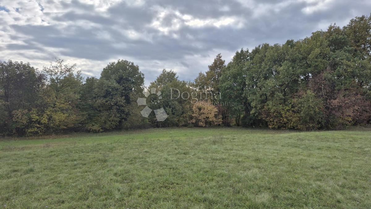 Terreno agricolo Pusti, Svetvinčenat, 8.182m2