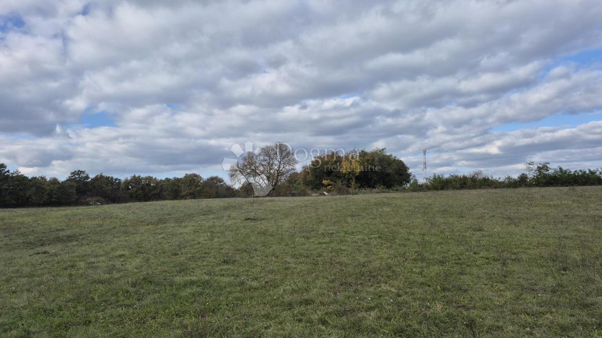 Terreno agricolo Pusti, Svetvinčenat, 8.182m2