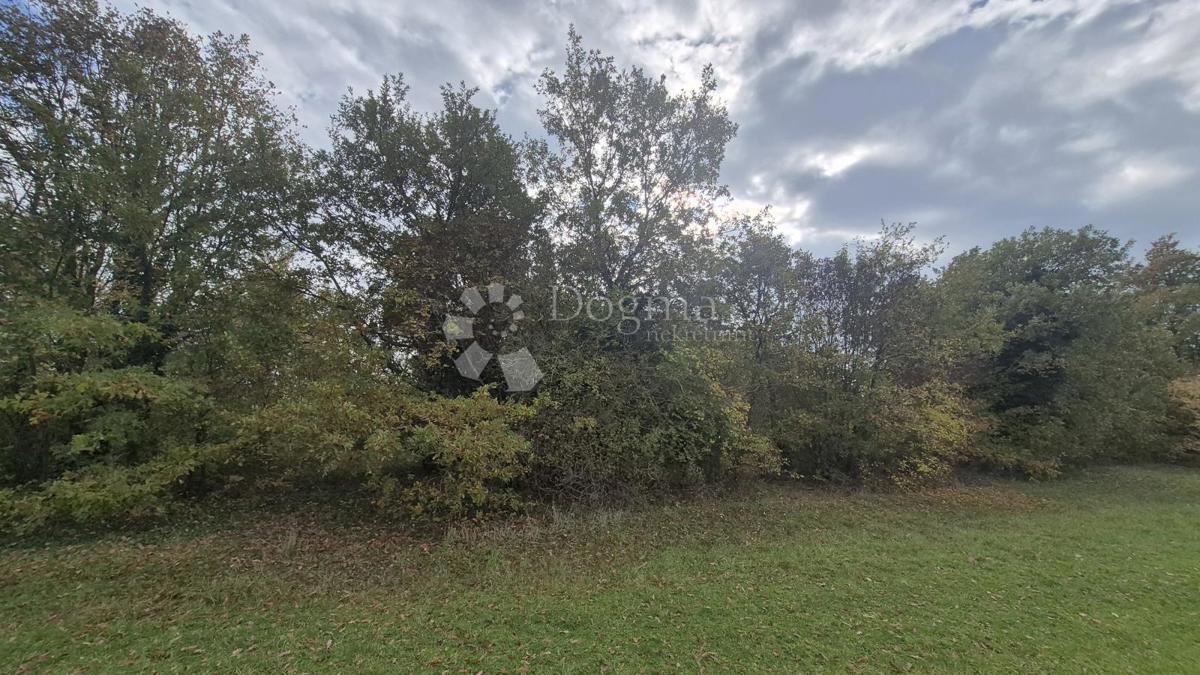 Terreno agricolo Pusti, Svetvinčenat, 8.182m2