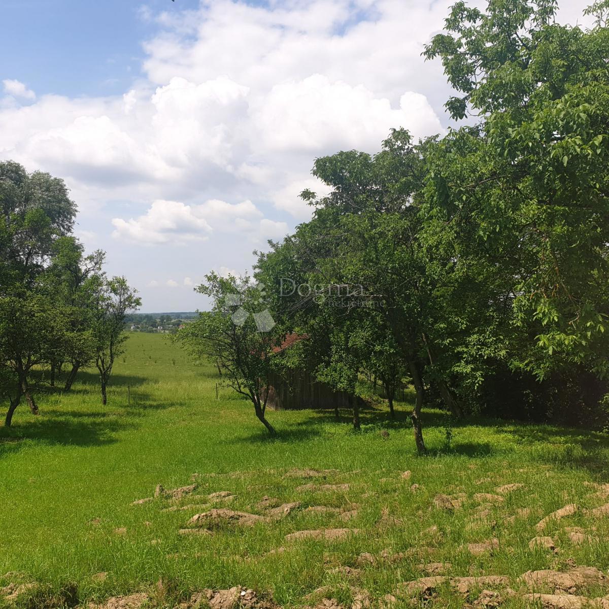 Casa Stružec, Popovača, 4.302m2