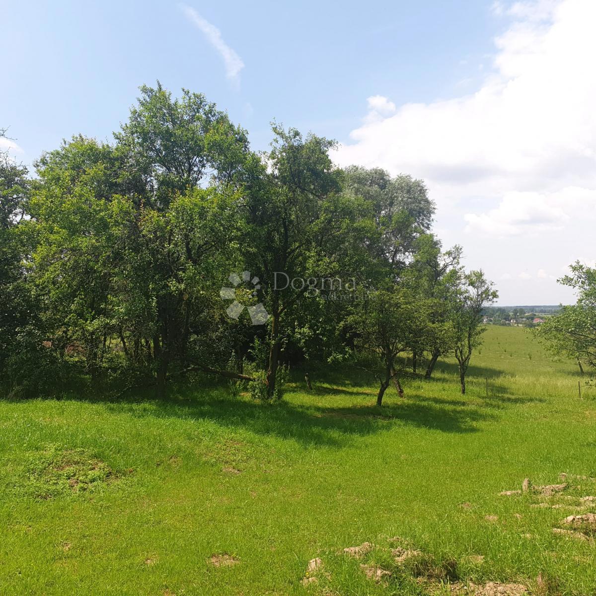 Casa Stružec, Popovača, 4.302m2