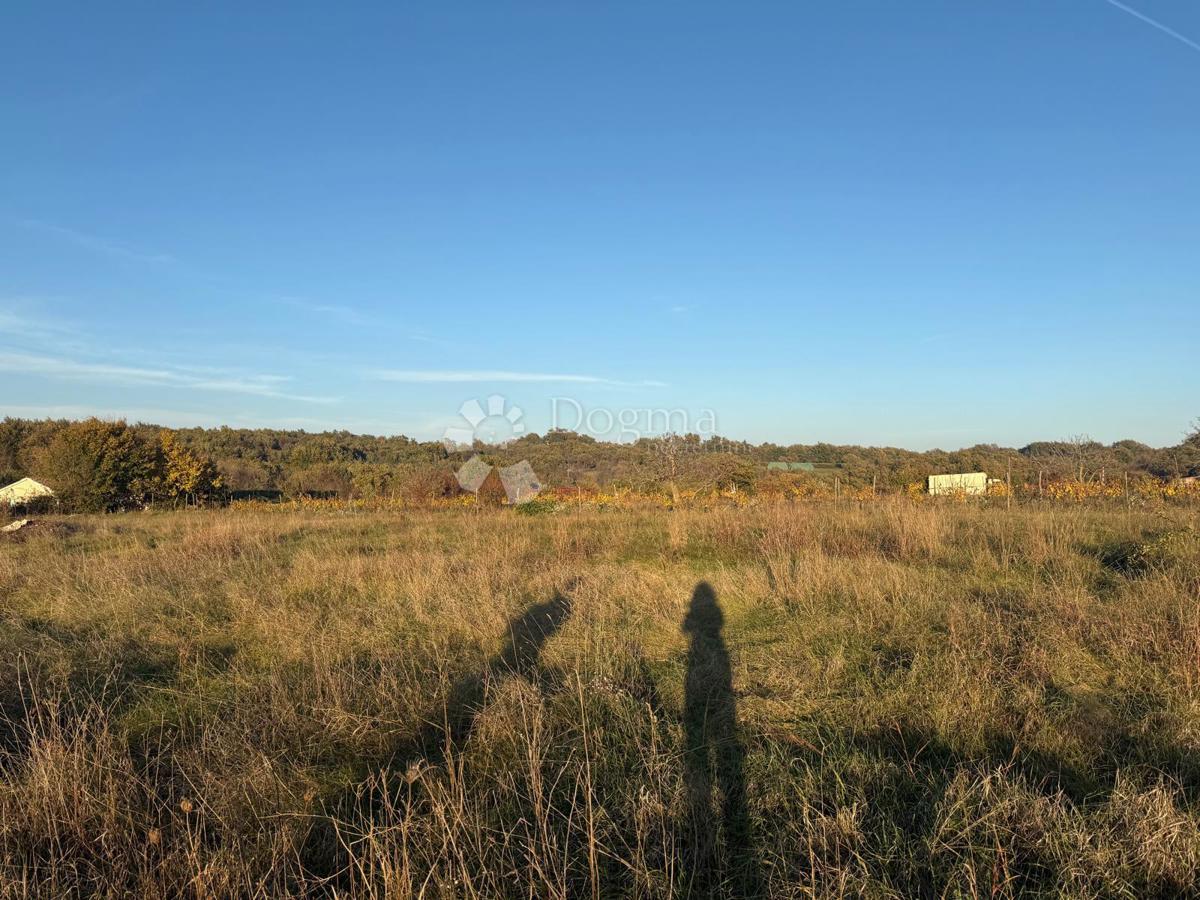 Terreno edificabile Svetvinčenat, 858m2