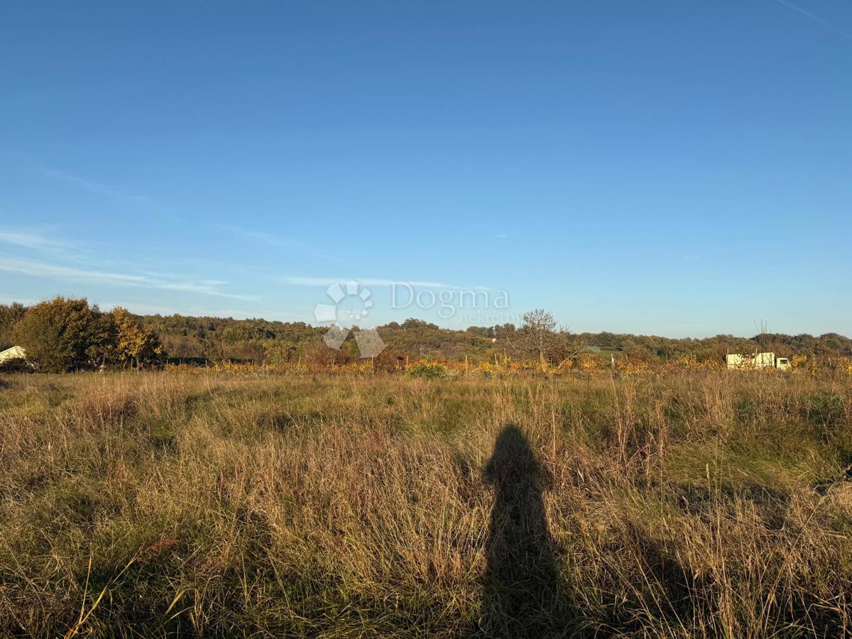 Terreno edificabile Svetvinčenat, 858m2