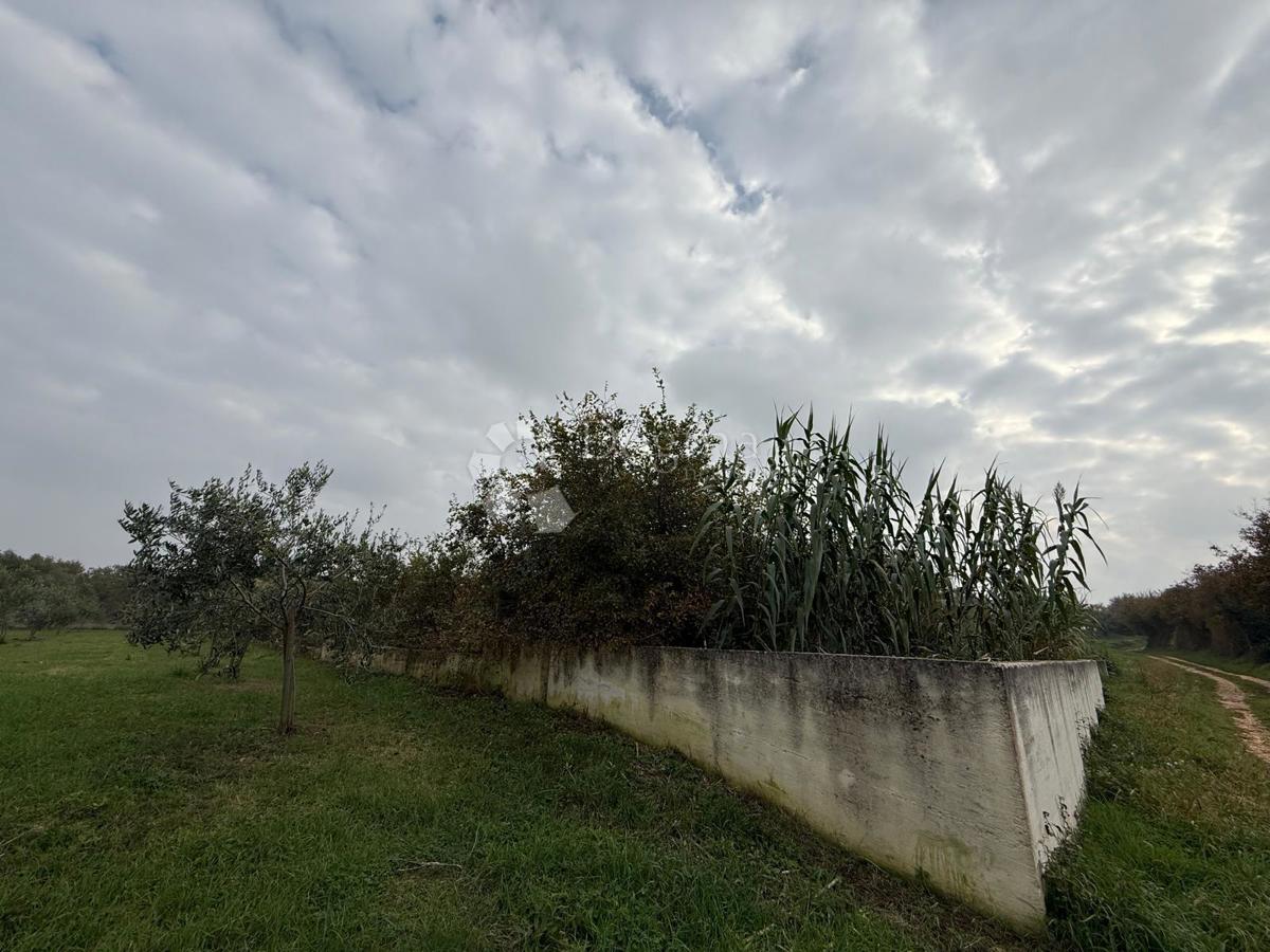 Terreno edificabile in posizione tranquilla