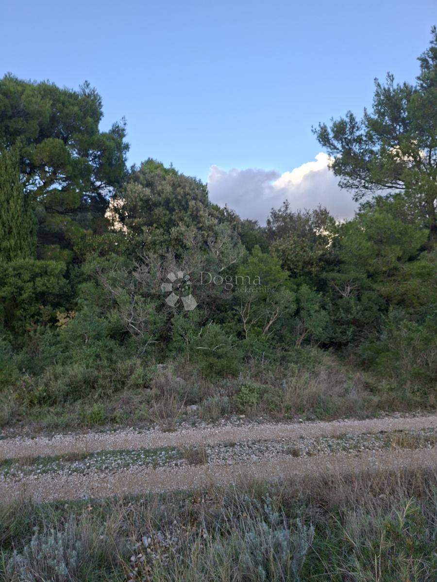 Terreno agricolo Močići, Konavle, 5.042m2