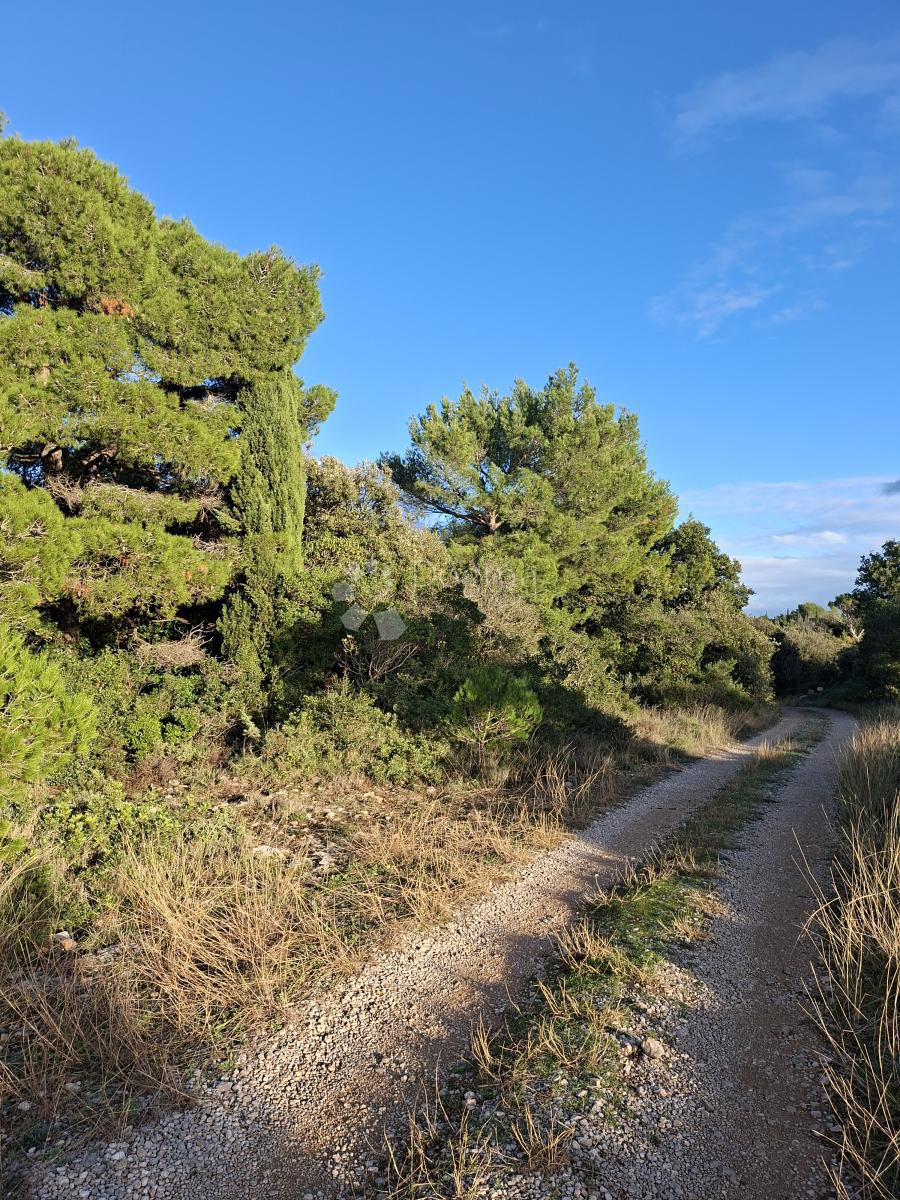 Terreno agricolo Močići, Konavle, 5.042m2