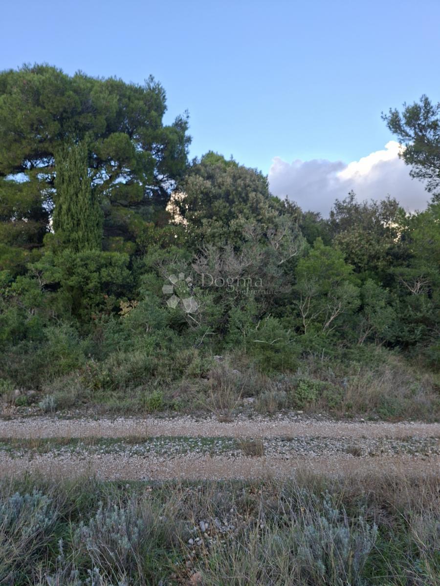 Terreno agricolo Močići, Konavle, 5.042m2