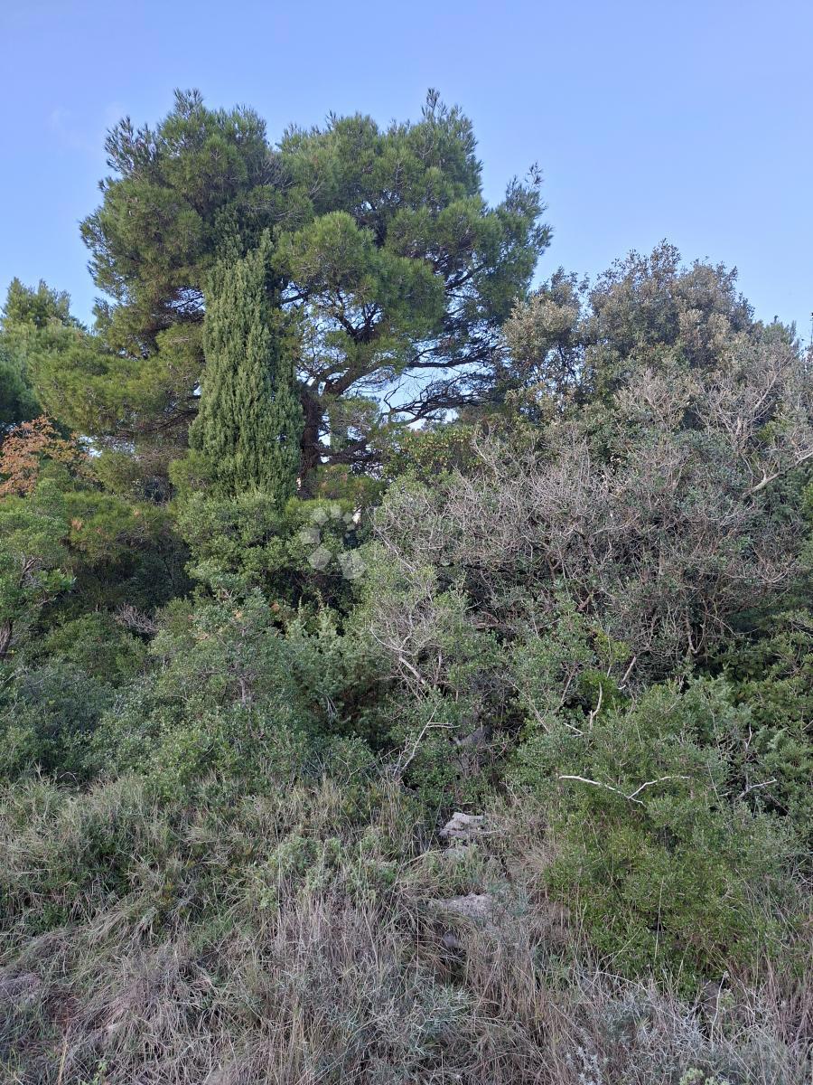 Terreno agricolo Močići, Konavle, 5.042m2