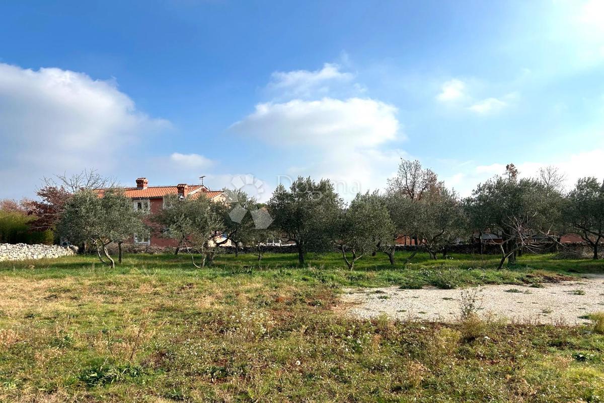 Terreno edificabile Vodnjan, 939m2