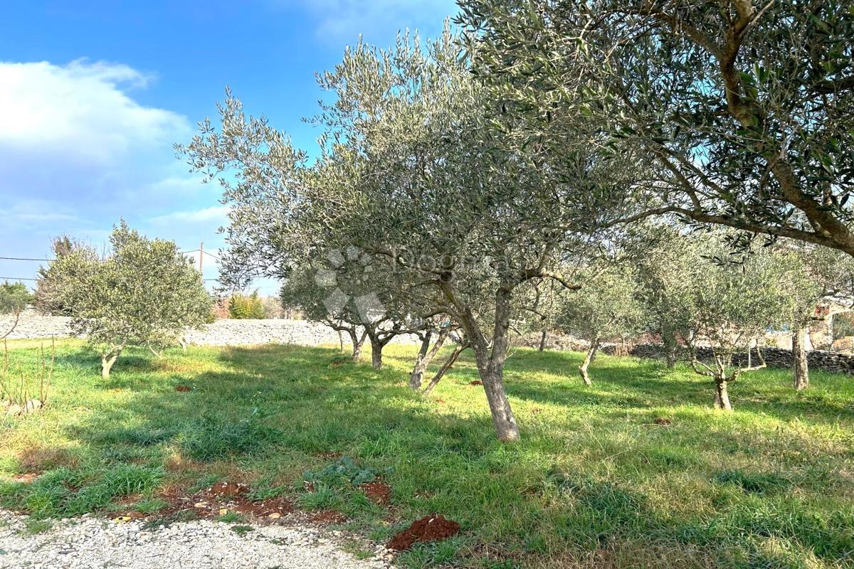 Terreno edificabile Vodnjan, 939m2