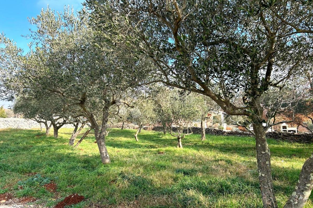 Terreno edificabile Vodnjan, 939m2