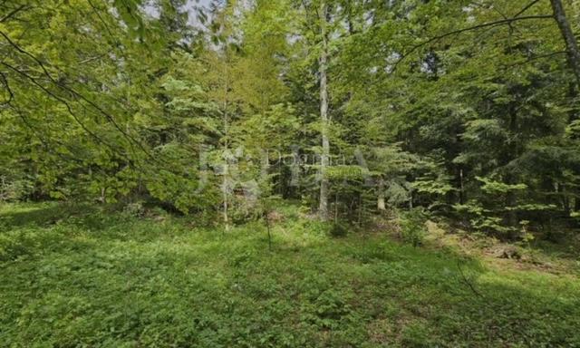 Terreno Bribir, Vinodolska Općina, 66.147,82m2