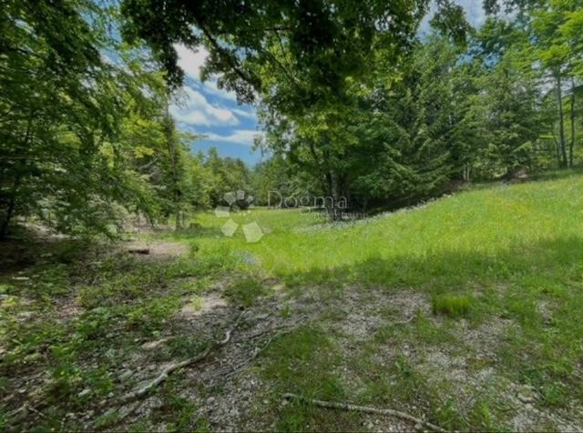 Terreno Bribir, Vinodolska Općina, 66.147,82m2