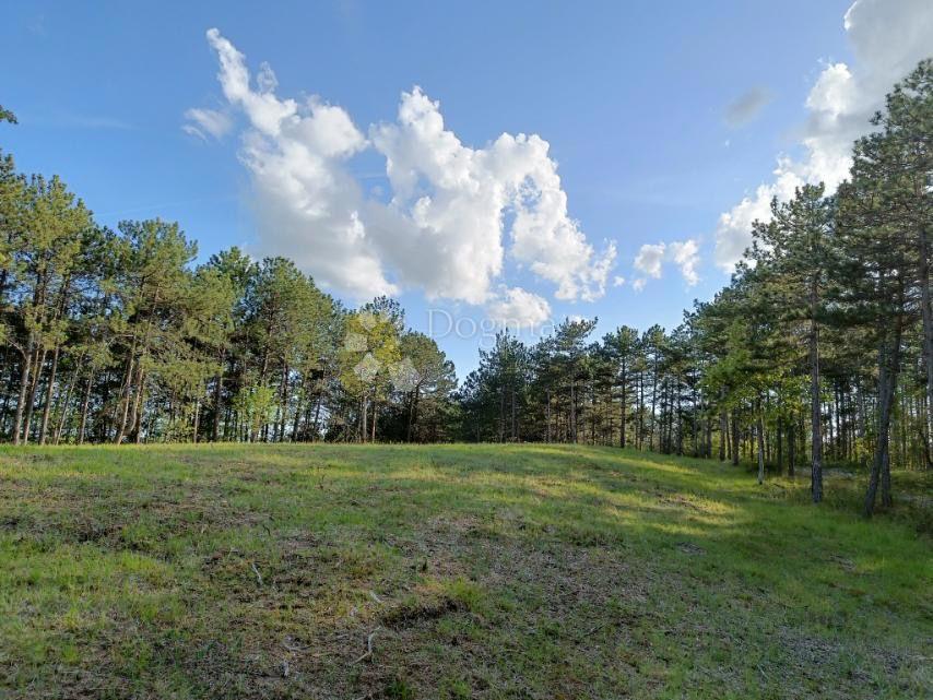 Terreno edificabile Lindar, Pazin - Okolica, 2.000m2