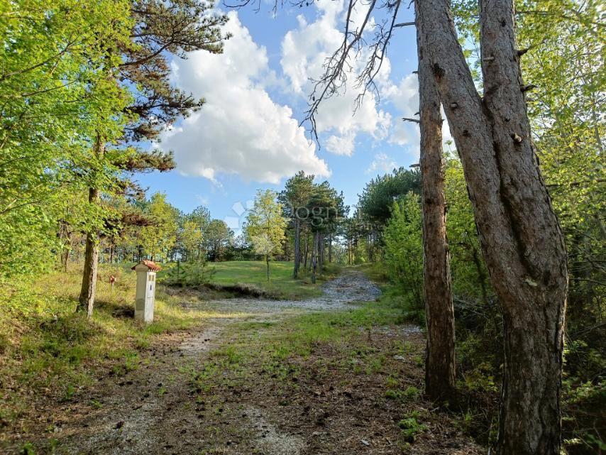Terreno edificabile Lindar, Pazin - Okolica, 2.000m2