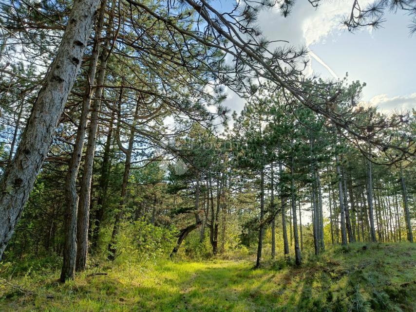 Terreno edificabile Lindar, Pazin - Okolica, 2.000m2