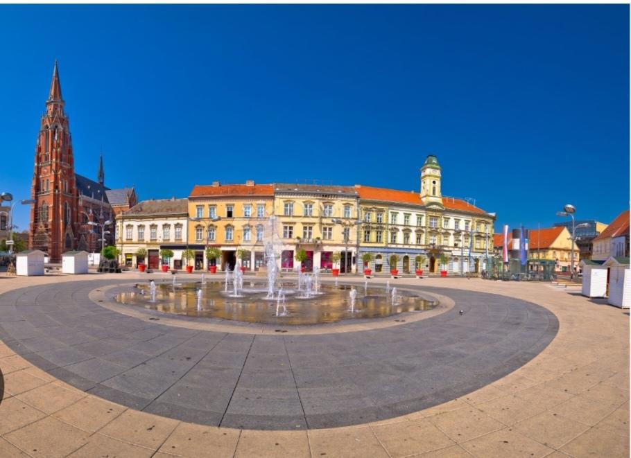 Casa Jug I, Osijek, 607m2