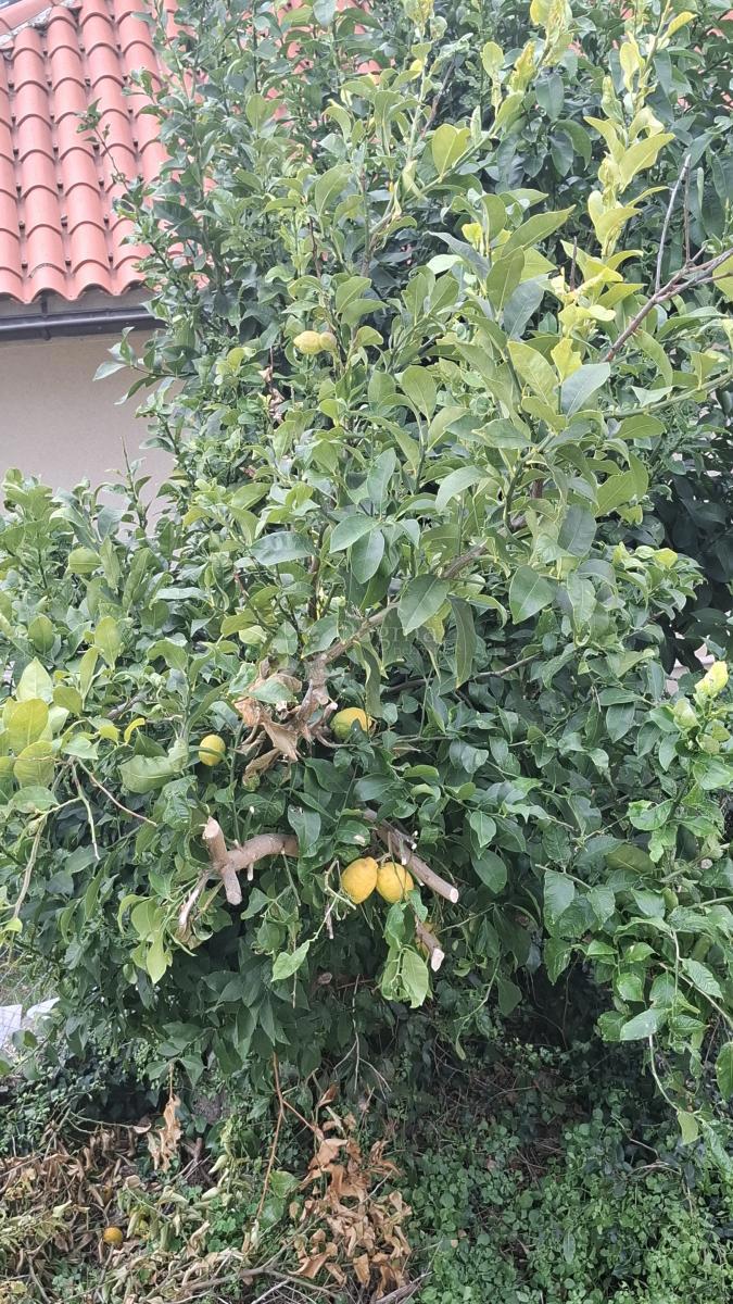 Allogio Mali Lošinj, 65,68m2