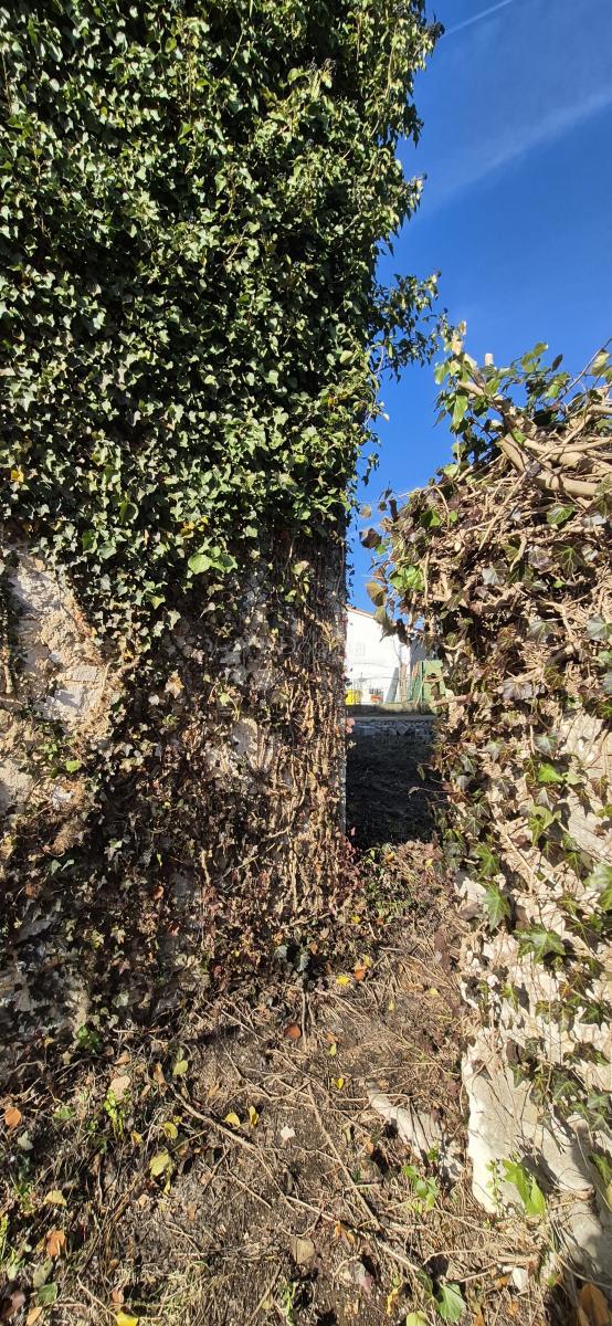 Casa Juršići, Svetvinčenat, 166m2